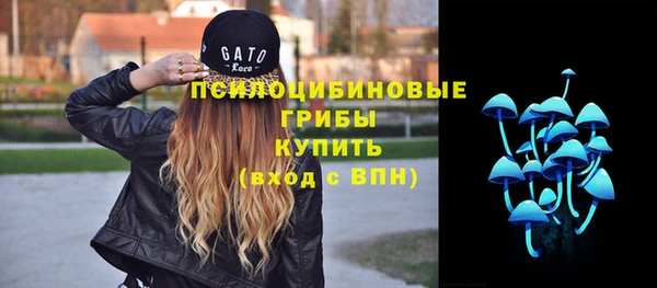 мяу мяу кристалл Гусь-Хрустальный