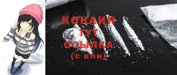 соль ск Дмитровск