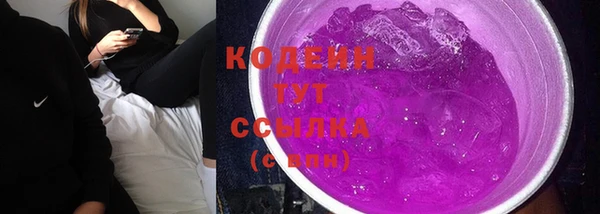 соль ск Дмитровск