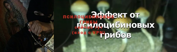 МДМА Дмитриев