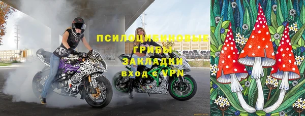 соль ск Дмитровск